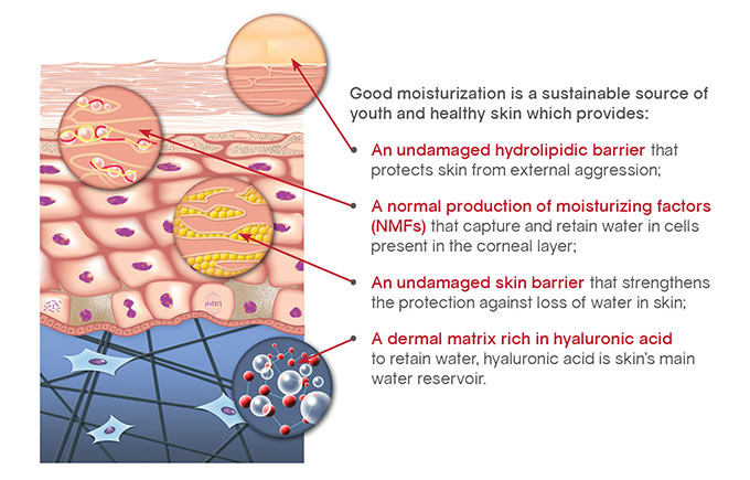 Aging Skin